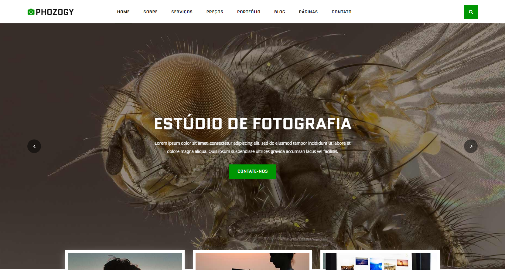 Modelo de Fotografia